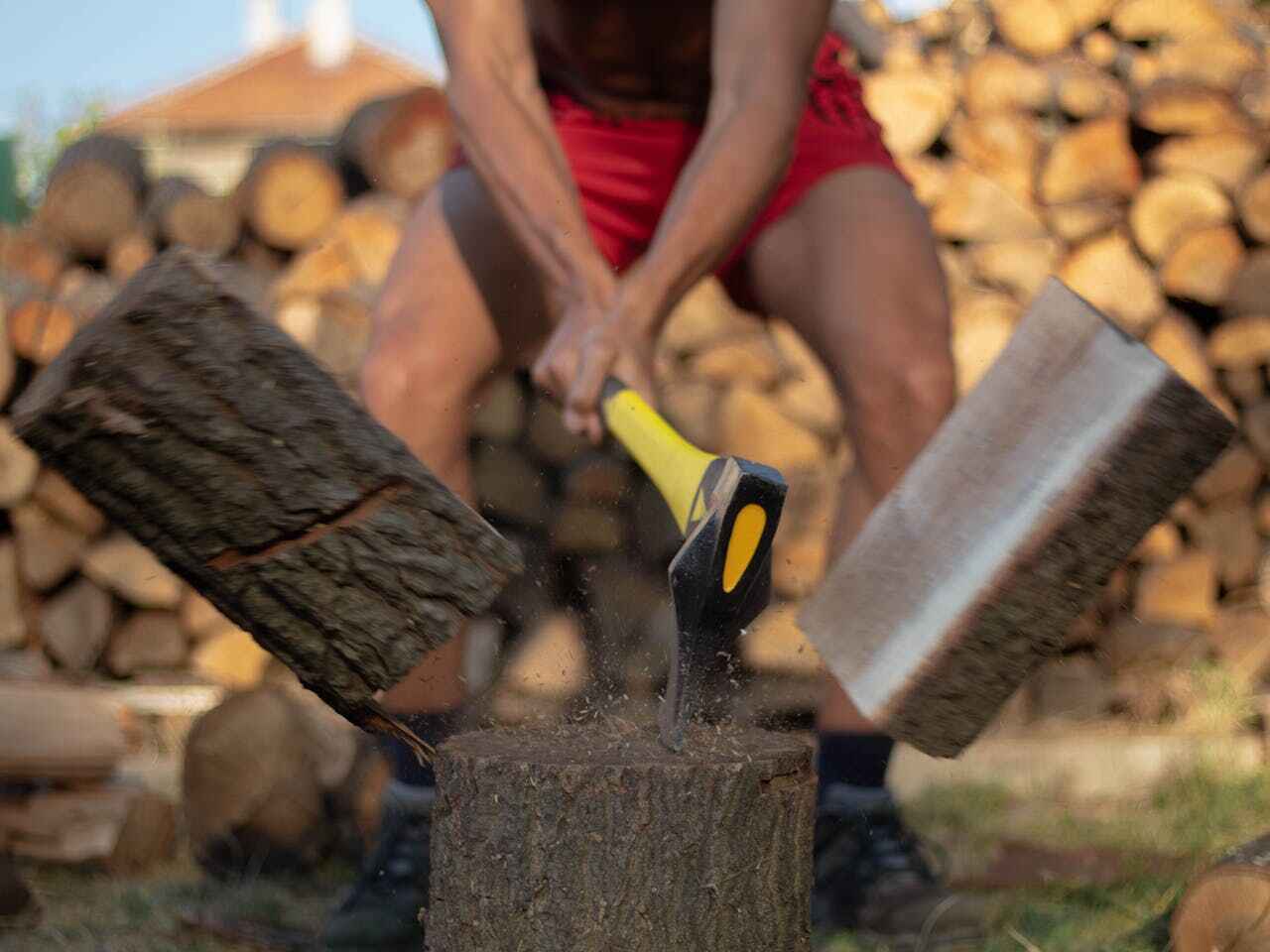 The Steps Involved in Our Tree Care Process in Jacksboro, TX